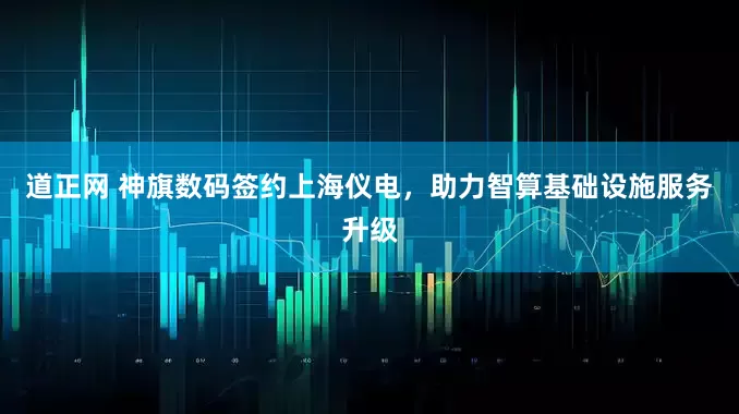 道正网 神旗数码签约上海仪电，助力智算基础设施服务升级