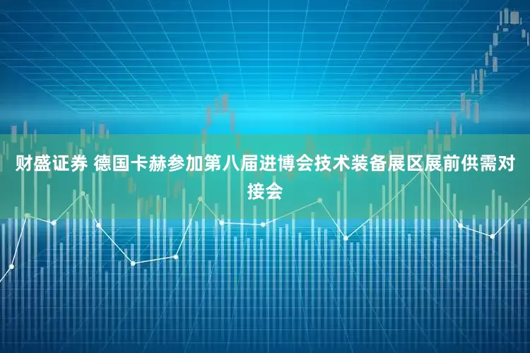 财盛证券 德国卡赫参加第八届进博会技术装备展区展前供需对接会