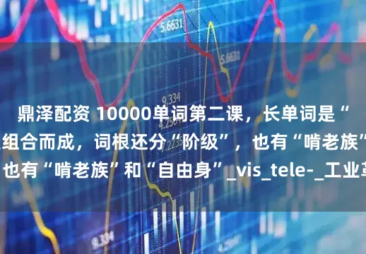 鼎泽配资 10000单词第二课，长单词是“借”出来的，词语是组合而成，词根还分“阶级”，也有“啃老族”和“自由身”_vis_tele-_工业革命