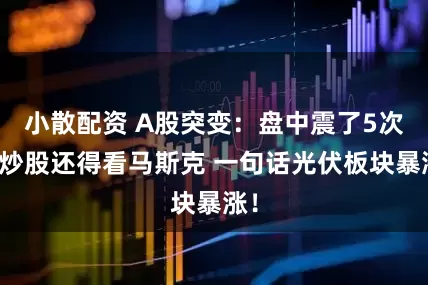 小散配资 A股突变：盘中震了5次！炒股还得看马斯克 一句话光伏板块暴涨！